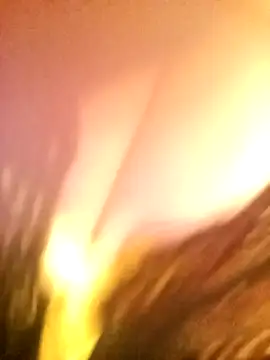 Snapshot of JAWHARA_ chatting on December 14, 2025, 10:03 pm JAWHARA online show from December 14, 2025, 10:03 pm