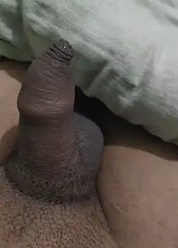 Snapshot of iaparna chatting on December 29, 2024, 6:38 pm iaparna online show from December 29, 2024, 6:38 pm