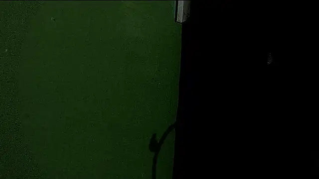 Snapshot of Deleon1995 chatting on January 2, 2025, 4:52 am Deleon1995 online show from January 2, 2025, 4:52 am