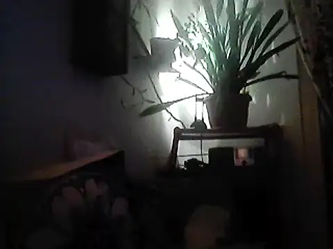 Snapshot of Bigpenis6y chatting on December 30, 2024, 3:57 pm Bigpenis6y online show from December 30, 2024, 3:57 pm