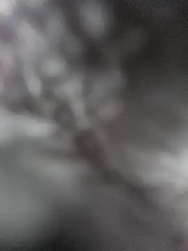 hungarian dick online show from January 31, 2025, 9:37 am