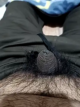 punjabimunda28 online show from January 27, 2025, 4:52 am