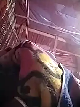 Satheroy online show from December 12, 2024, 5:37 pm