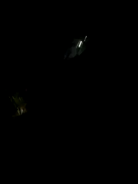 Snapshot of perlita05 chatting on November 16, 2025, 2:28 am perlita05 online show from November 16, 2025, 2:28 am