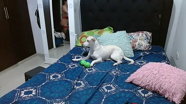 Snapshot of amazonafit_ chatting on February 15, 2025, 4:14 am amazonafit online show from February 15, 2025, 4:14 am