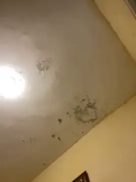 Snapshot of tobiramalapara chatting on December 16, 2025, 2:22 pm tobiramalapara online show from December 16, 2025, 2:22 pm