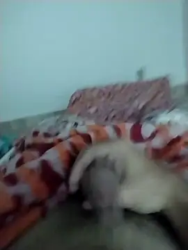 Snapshot of lm279 chatting on February 13, 2025, 5:33 pm lm279 online show from February 13, 2025, 5:33 pm