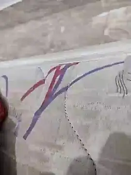 Snapshot of lm279 chatting on February 18, 2025, 1:44 pm lm279 online show from February 18, 2025, 1:44 pm