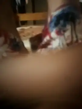 Snapshot of PussyMasterPhD1 chatting on November 11, 2025, 9:15 pm PussyMasterPhD1 online show from November 11, 2025, 9:15 pm