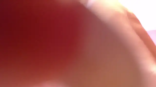 alana storm62 online show from November 13, 2025, 5:34 pm