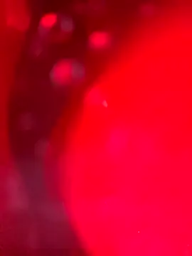 Cobra500hp online show from March 28, 2026, 7:19 am