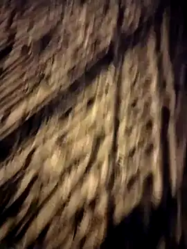 Snapshot of Sperma-V-rotik chatting on December 14, 2024, 2:56 am Sperma-V-rotik online show from December 14, 2024, 2:56 am