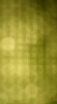 Snapshot of Sexybeer2005 chatting on December 7, 2024, 10:06 pm Sexybeer2005 online show from December 7, 2024, 10:06 pm