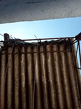 Percybr4561 online show from October 25, 2025, 1:29 pm