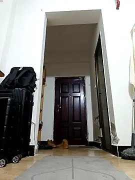 Snapshot of DDYY12341 chatting on November 18, 2025, 11:58 am DDYY12341 online show from November 18, 2025, 11:58 am