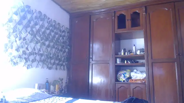 cougar town online show from January 29, 2025, 4:52 pm