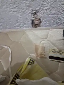 montevideoo online show from October 6, 2025, 12:52 am