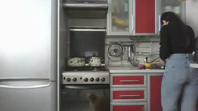 Kashtanka  online show from March 25, 2026, 8:53 am