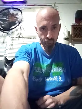 armdy371 online show from May 11, 2026, 2:01 pm