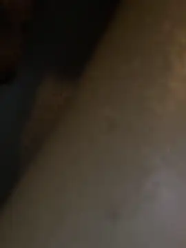 HBYAM online show from December 30, 2024, 6:38 pm