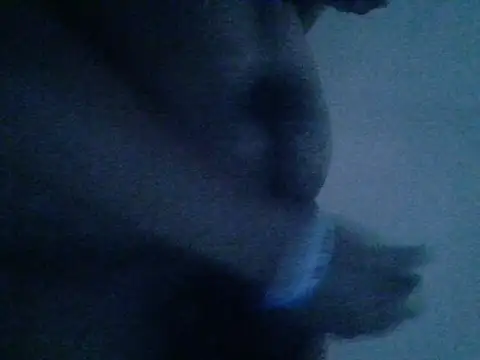 Snapshot of mateomalp675_90 chatting on April 28, 2026, 3:28 pm mateomalp675 90 online show from April 28, 2026, 3:28 pm
