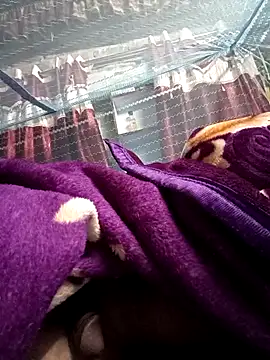 900irani online show from December 17, 2024, 12:12 am