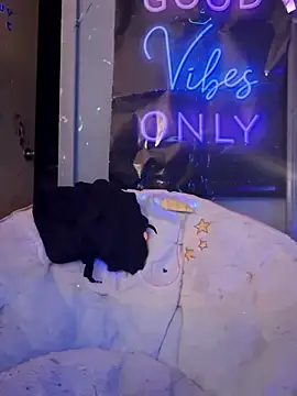 Snapshot of fantasymade69 chatting on November 8, 2025, 6:46 am fantasymade69 online show from November 8, 2025, 6:46 am