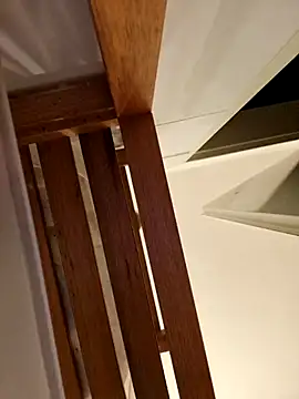 Snapshot of Josephine_LIVE chatting on November 28, 2025, 5:21 am Josephine LIVE online show from November 28, 2025, 5:21 am