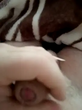 ionutiul online show from November 8, 2025, 7:08 am