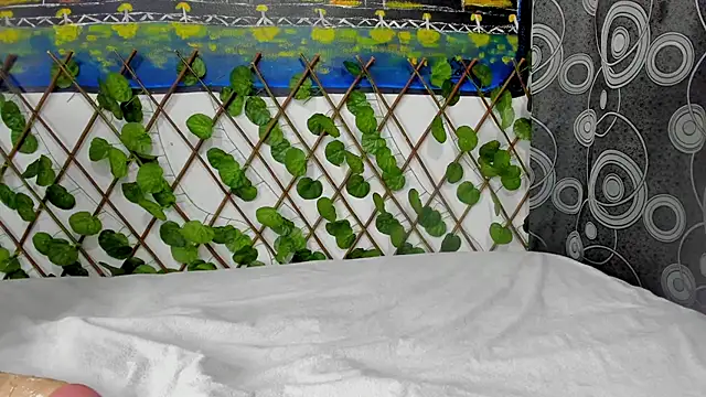 Snapshot of ANEVANS2 chatting on January 13, 2025, 2:42 pm ANEVANS2 online show from January 13, 2025, 2:42 pm