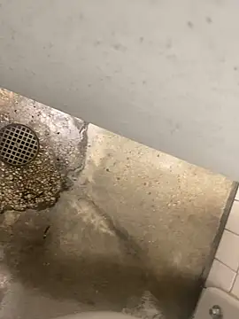 Snapshot of zeekBbc chatting on December 10, 2024, 8:38 pm zeekBbc online show from December 10, 2024, 8:38 pm