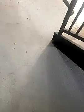 Snapshot of zeekBbc chatting on October 27, 2025, 2:21 pm zeekBbc online show from October 27, 2025, 2:21 pm