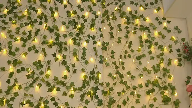 Snapshot of Brenda_M00n chatting on January 5, 2025, 9:25 pm Brenda M00n online show from January 5, 2025, 9:25 pm