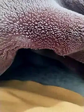 Snapshot of Sumitlive24MBD chatting on December 17, 2024, 11:27 pm Sumitlive24MBD online show from December 17, 2024, 11:27 pm