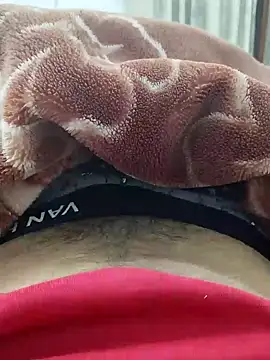 Snapshot of Sumitlive24MBD chatting on December 29, 2024, 8:55 am Sumitlive24MBD online show from December 29, 2024, 8:55 am