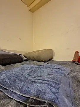 fox--3 online show from February 10, 2026, 5:00 am