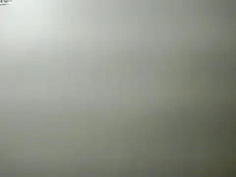Snapshot of lilbishmiss chatting on January 29, 2025, 1:58 am lilbishmiss online show from January 29, 2025, 1:58 am