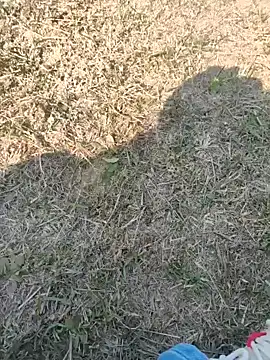 Gururonny07 online show from January 27, 2025, 7:45 am