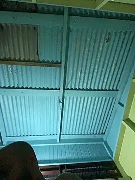 islandvybee55 online show from January 8, 2026, 7:54 am