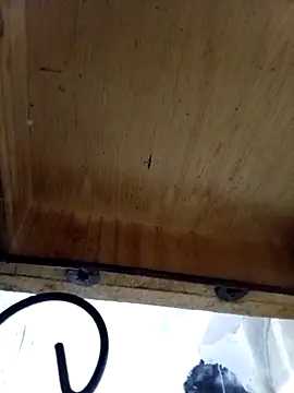 Snapshot of DaniSexFlow chatting on October 13, 2025, 4:34 am DaniSexFlow online show from October 13, 2025, 4:34 am