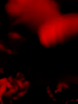 Snapshot of DaniSexFlow chatting on March 31, 2026, 8:04 am DaniSexFlow online show from March 31, 2026, 8:04 am