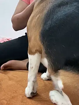 Snapshot of sissarahotty chatting on February 2, 2025, 11:21 pm sissarahotty online show from February 2, 2025, 11:21 pm