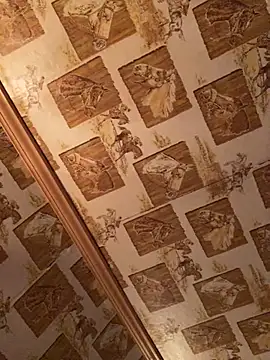 Snapshot of Tonybaloney1972 chatting on March 18, 2025, 12:25 pm Tonybaloney1972 online show from March 18, 2025, 12:25 pm