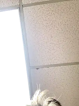 Snapshot of Tonybaloney1972 chatting on October 31, 2025, 8:54 pm Tonybaloney1972 online show from October 31, 2025, 8:54 pm