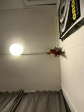 wolfwhite95 online show from November 14, 2025, 11:57 pm