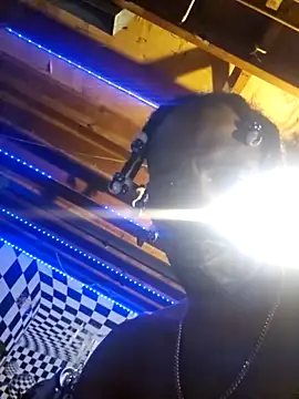 Snapshot of Cpp3377 chatting on March 8, 2026, 9:13 am Cpp3377 online show from March 8, 2026, 9:13 am