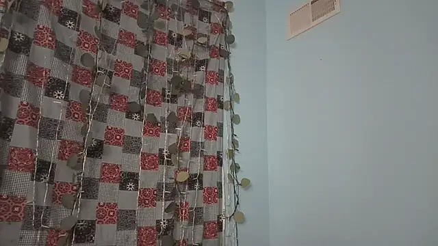 Snapshot of AddieAssets chatting on February 3, 2025, 4:46 am AddieAssets online show from February 3, 2025, 4:46 am