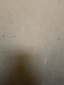 Snapshot of loveme99004 chatting on February 16, 2026, 2:29 am loveme99004 online show from February 16, 2026, 2:29 am