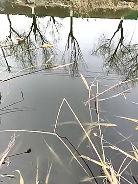 huzi518 online show from February 27, 2025, 6:50 am