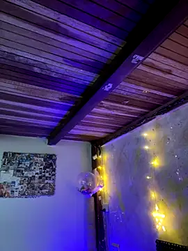 Snapshot of SophiaWeestt99 chatting on November 29, 2025, 2:36 am SophiaWeestt99 online show from November 29, 2025, 2:36 am